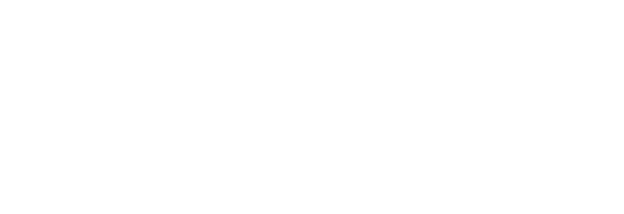 Nick Torrens logo